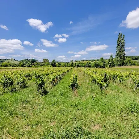 Holiday home Le De La Grappe - Terrasse - Gaillac