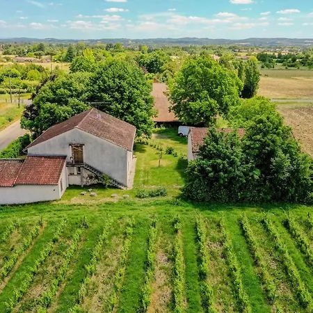 Le De La Grappe - Terrasse - Gaillac